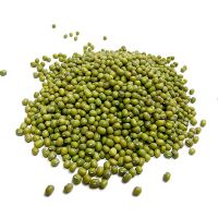 Best Quality Green Mung Beans / Vigna Beans/ Organic Mung Beans 