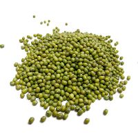 Green Mung Beans / Green Gram /Moong Dal / Vigna Beans (Red Ruby) 