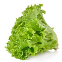 Factory Supply Green Leaf Lettuce/Green Salad/Romaine Lettuce Seeds for Growing 