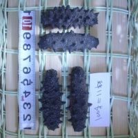 All the guts taken out dried anti-aging sea cucumber for sale 