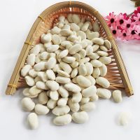 The Newest Crop White Kidney Beans, Buyers of Soya Beans, Different Types Dried Beans 