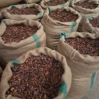 Organic Ceylon Criollo Cocoa Beans 