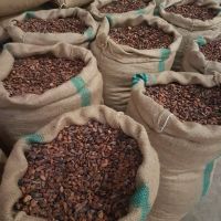 High Grade Sun Dried Cocoa Beans 