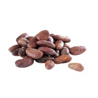 Cacao bean / cocoa (Organic certified) 