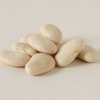 Best Quality White Butter Beans 