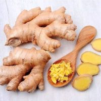 New Arrival!!! - Fresh Air Dried Ginger, supply in 40'' reefer container ginger 