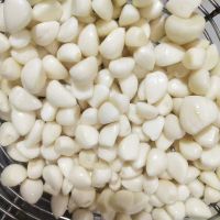  normal white garlic 5.0cm and up in low price, top quality 