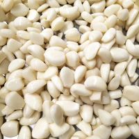 Fresh White Garlic , Purple Garlic for sale ready to export season 2020 