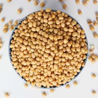 NON-GMO yellow Soybean / soya bean for oil/tofu/animal feeds 