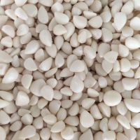 4.0cm ~ 5.5cm small mixed garlic in 2020 20kg net bag cheap garlic Secondary garlic 