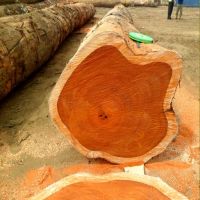 Quality Hard West African Timber Logs