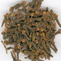 Dried Clove Whole / Dried Organic Cloves for Sale