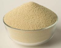 South Africa  best quality Grade A NON GMO PROTEIN SOYBEAN MEAL FOR ANIMAL FEED