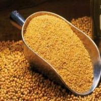 QUALITY SOYBEAN MEAL / SOYBEAN MEAL FOR ANIMAL FEED(43-46% PROTEIN)