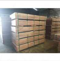 Timber Logs, Bubinga Wood, Tali Woods, African Timber Woods Timber Logs, Bubinga Wood, Tali Woods