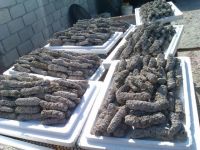 Natural Black Dried Prickly/ Spiky / Spiny / Thorny Stichopus Japonicus,Dried Sea Cucumber