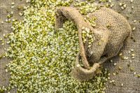 Moong Dal / Mung beans