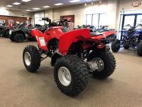 brand new 2019 ATV