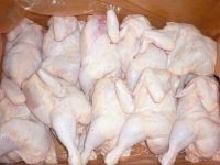  Processed Grade ''A'' Halal Frozen ChickenÃ‚Â Whole, feet & paws