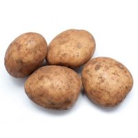 New harvest fresh Irish potatoes