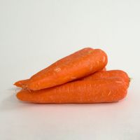 Bulk Cheap Fresh Carrot