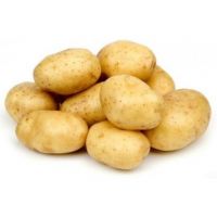 Fresh Potato With Competitive Price