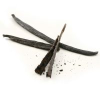 High Quality free sample Vanilla Beans