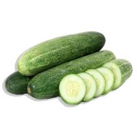 High Quality Fresh Green Cucumber