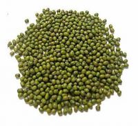 Whole green mung beans