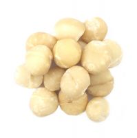 Raw organic chinese Macadamia nuts with shell and Without shell.