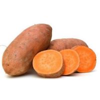 High Quality Sweet Potatoes cheap price