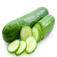 Good Quality Fresh Cucumber