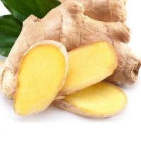 Organic Fresh and Dry Ginger Available in Bulk