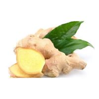 Natural Organic Fresh & Powdered Ginger