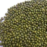 Grade A green mung bean for food moong dal