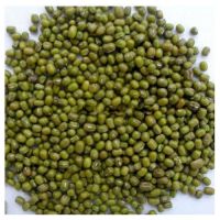 Wholesale Small Green Gram Vigna Bean Mung Beans In Bulk