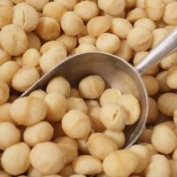 cheap and competitive price Macadamia Nuts In shell, Kernels/Organic Macadamia