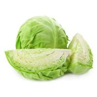 Fresh Round Cabbage Good Quality From VIETNAM with Cheap Price
