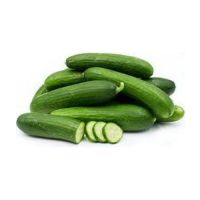 Pakistani Vegetable Fresh Cucumber Exporters