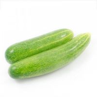 High Quality Fresh Cucumber