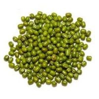 Quality Assurance Green Mung Beans For Export