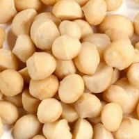Organic Macadamia Nuts for sale