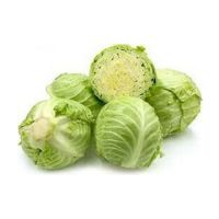 Premium Quality Finest Fresh White Cabbage from Albania