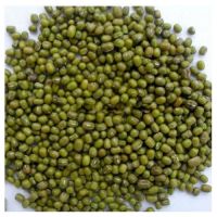 High-End Premium Quality Green Mung Beans