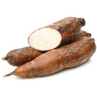 Best Fresh Tapioca / Cassava