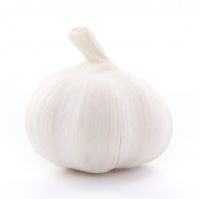 Fresh White Garlic/ Bulk Export