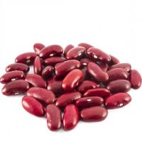 Wholesale high quality light speckled kidney beans different types of pulses