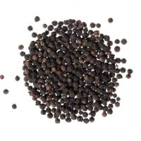 Best quality Black pepper 500G/L - 580 G/L from Viet Nam - BLACK PEPPER