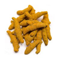 organic dried root powder turmeric