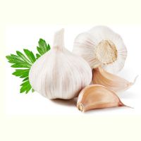 quality fresh garlic